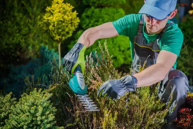 landscaping services Fonda